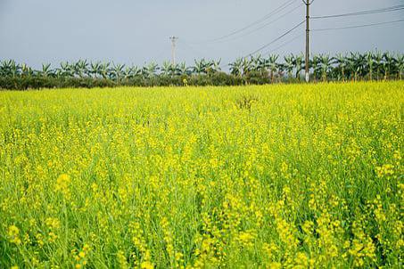 信用卡推荐码是什么？信用卡推荐码有什么用？