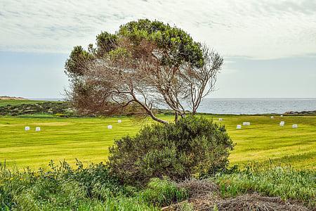 农行携手驴妈妈旅游网推出亲子旅游主题信用卡