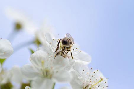 光大银行信用卡失卡保障的优劣解析