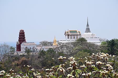 节假日出行