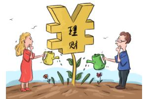 返还性健康保险